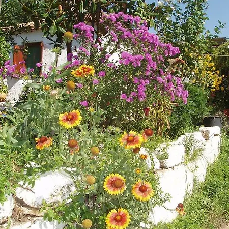 Petrasaki Petrochori (Peloponnese)