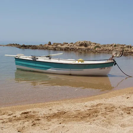 Petrasaki *